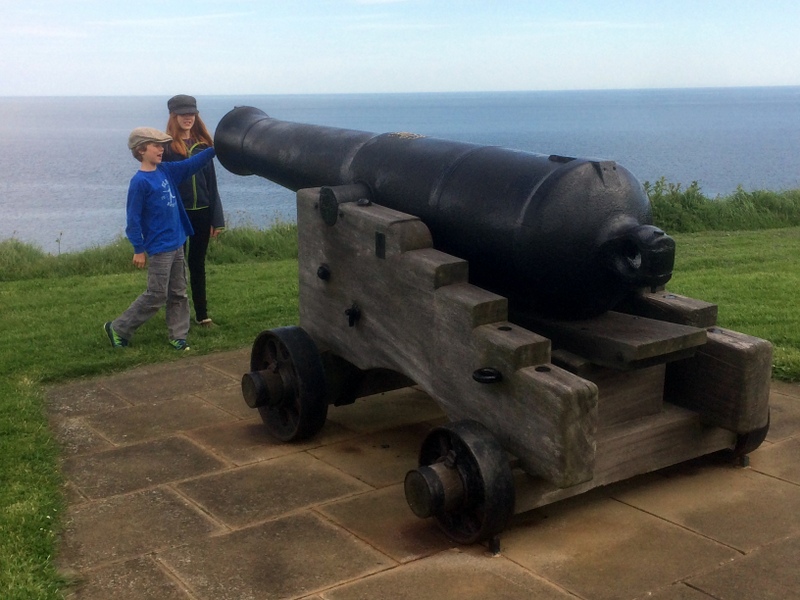 cannon