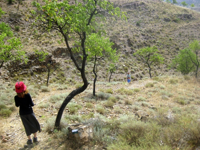 Over Cielo's shoulder