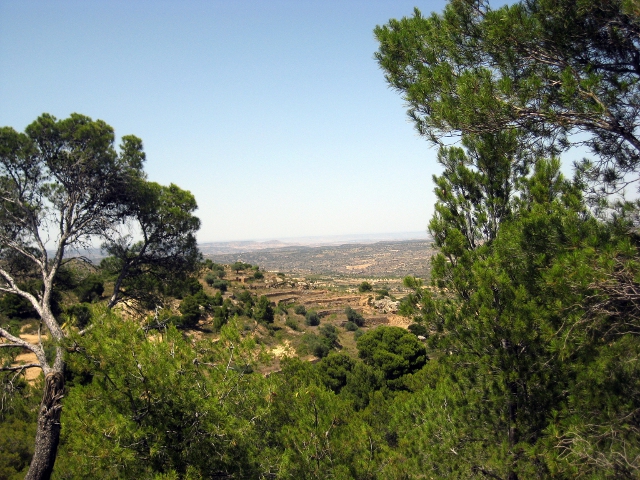 view of terraced farms