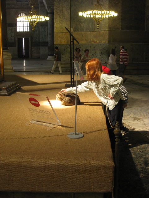 Hagia Sopha cat petting