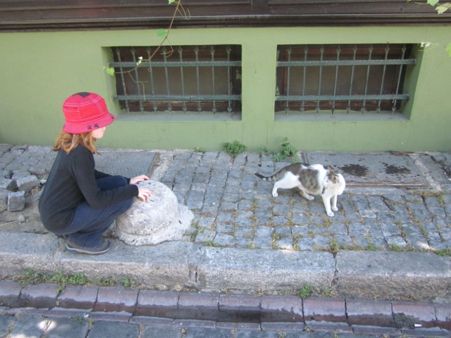 Cielo and cat on sidewalk