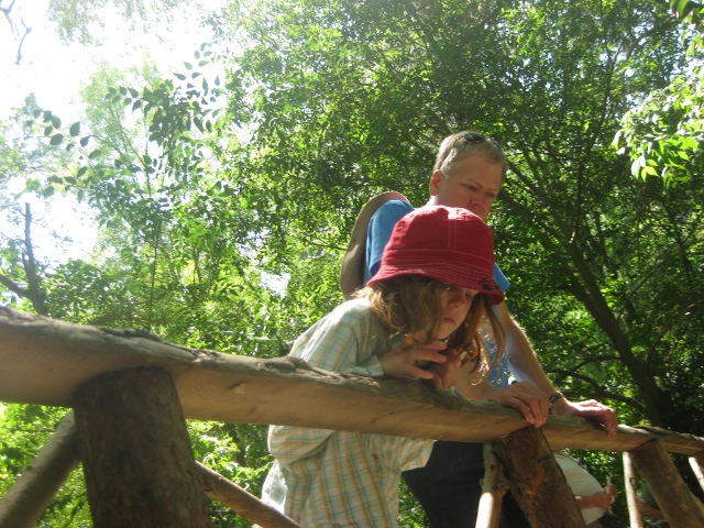 Cielo peering over the rail