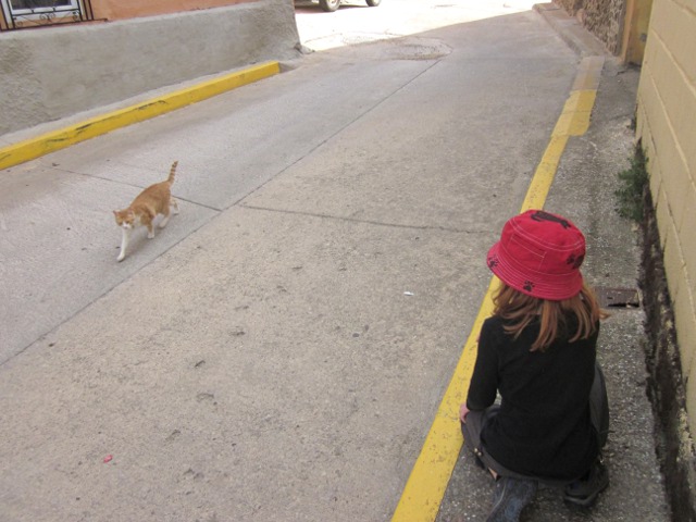 Cat and Cielo in road