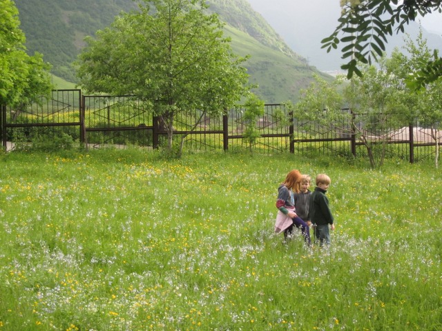 meadow, with kids