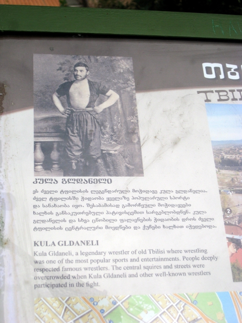 Wrestler information