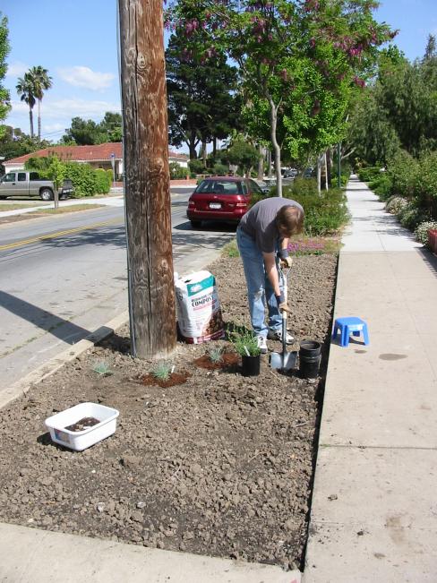 Vernon digs a hole//next to a pole